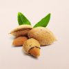 Πρωτεΐνη Αμυγδάλου Βιολογική (Almond Protein, Organic) - Food