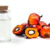 Φοινικοπυρήνες Βιολογικό Έλαιο(Palm Kernel Oil Refined, Organic) - Food & Cosmetic