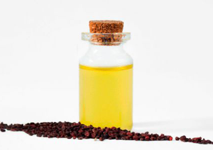Φραγκοστάφυλλο Βιολογικό Έλαιο (Black Currant Seed Oil Cold Pressed, Organic) - Food & Cosmetic