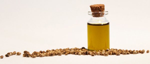 Κάνναβη Βιολογικό Έλαιο (Hemp Seed Oil Cold Pressed, Organic) - Cosmetic