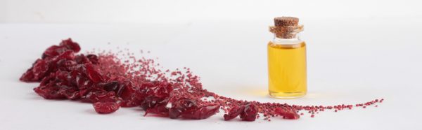 Κράνμπερι Βιολογικό Έλαιο (Cranberry Seed Oil Cold Pressed, Organic) - Food & Cosmetic