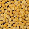 Πρωτεΐνη Φάβα 55% Βιολογική (Fava Bean Protein 55%, Organic) - Food