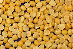 Πρωτεΐνη Φάβα 55% Βιολογική (Fava Bean Protein 55%, Organic) - Food