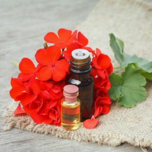 Γεράνι Βιολογικό Αιθέριο Έλαιο (Geranium Oil Organic) - Food & Cosmetic
