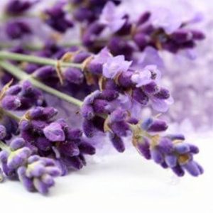 Ανθόνερο Λεβάντας Βιολογικό - Βρώσιμο (Lavender water, Organic-Food Grade) - Food & Cosmetic