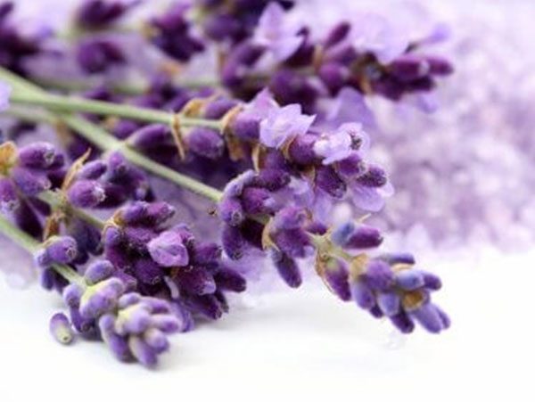 Ανθόνερο Λεβάντας Βιολογικό - Βρώσιμο (Lavender water, Organic-Food Grade) - Food & Cosmetic