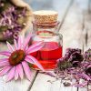 Εχινάκεια Βιολογικό Αιθέριο Έλαιο - Εκχύλισμα (Echinacea Extract, Organic) - Cosmetic