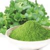 Αλφάλφα Σκόνη Βιολογική (Alfalfa Powder Raw Organic) - Food