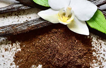 Βανίλια Μπέρμπον Σκόνη Βιολογική (Bourbon Vanilla Powder Organic) - Food