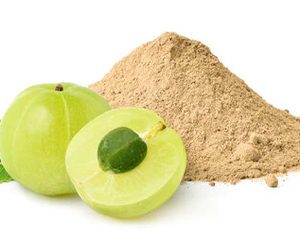Άμλα Σκόνη Βιολογική (Amla Powder Organic) - Food
