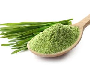 Κριθαρόχορτο Σκόνη Βιολογική (Barley Grass Powder Organic) - Food