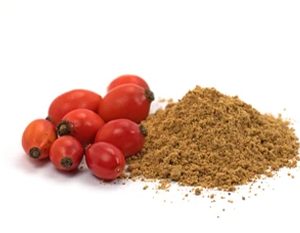 Άγριο Τριαντάφυλλο Αποξηραμένο Σκόνη Βιολογικό (Rose Hip Dried Powder Organic) - Food