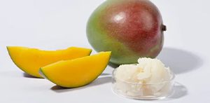 βούτυρο μανγκο. organic mango butter