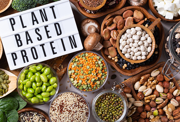 plant based protein - ποια να διαλέξω - φυτική πρωτεϊνη