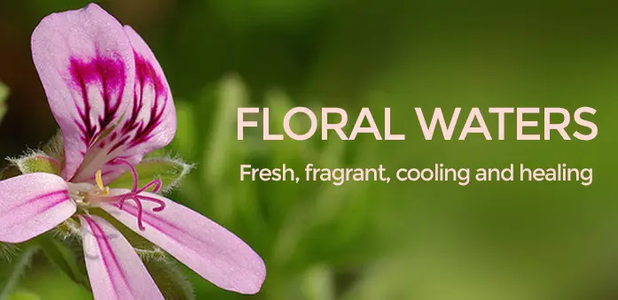 Floral Waters: Ένα δροσιστικό ελιξίριο από τη φύση